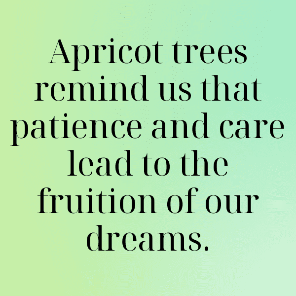 Apricot Captions Image For Instagram-WOGTjS