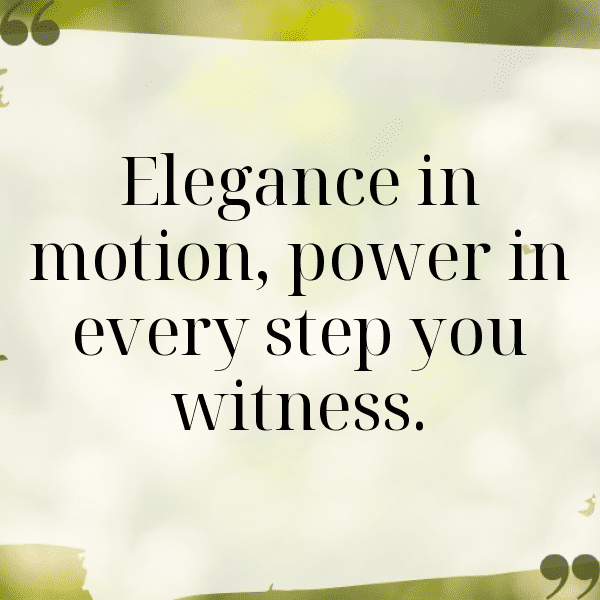 276+ Archery Captions for Instagram (Short, Trending & Viral) 12 Archery Captions Image for Instagram-OYPz34