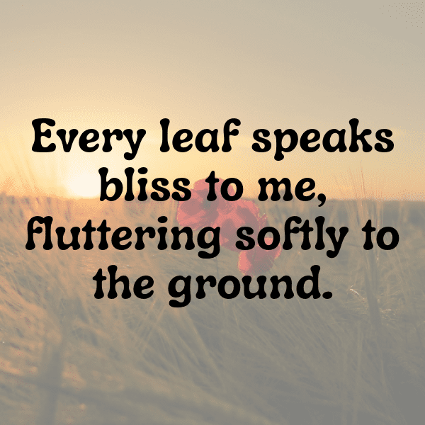 267+ Arrowhead Captions For Instagram In 2025 10 Arrowhead Captions Image For Instagram-ZQmosR