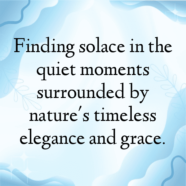 Arrowroot Captions Image For Instagram-JEMcRb