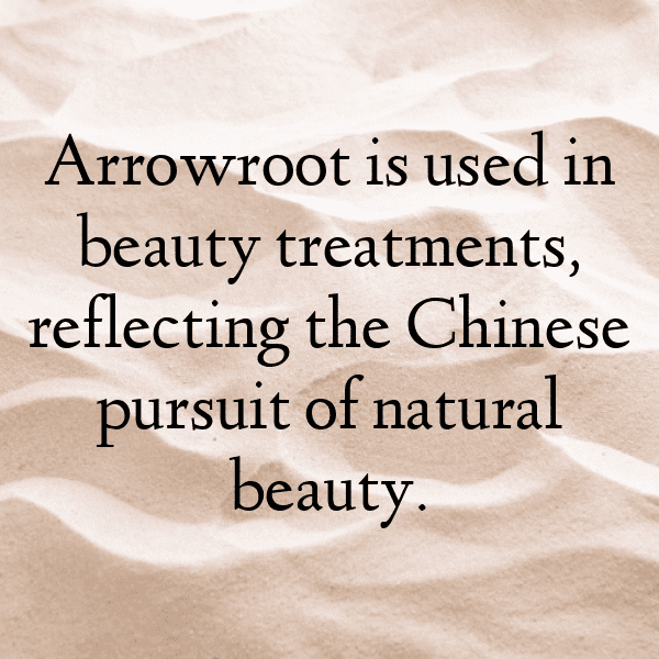 Arrowroot Captions Photo For Instagram-USD4O1