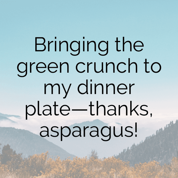 Asparagus Captions Photo For Instagram-nz1gY6