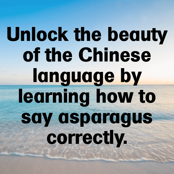 Asparagus Captions Photo For Instagram-y1HeSu