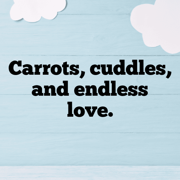 Aster Captions Image For Instagram-0y9CS4