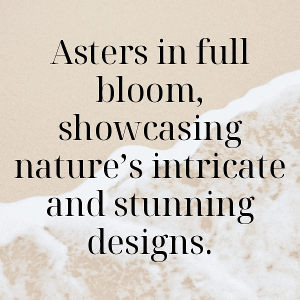 Aster Captions Image For Instagram-JXnKOZ