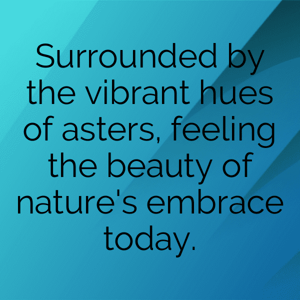 Aster Captions Photo For Instagram-zsu9mT