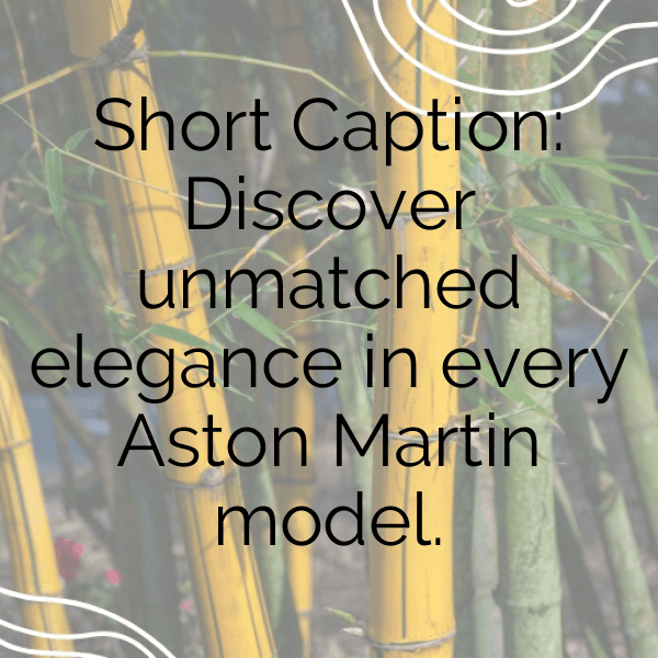 Aston Martin Vantage Captions Photo for Instagram-NKRcZe