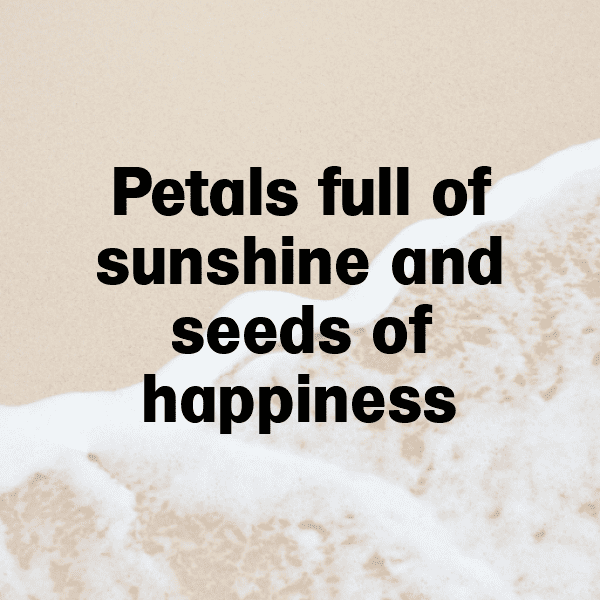 Aubergine Captions Photo For Instagram-ScTjcB