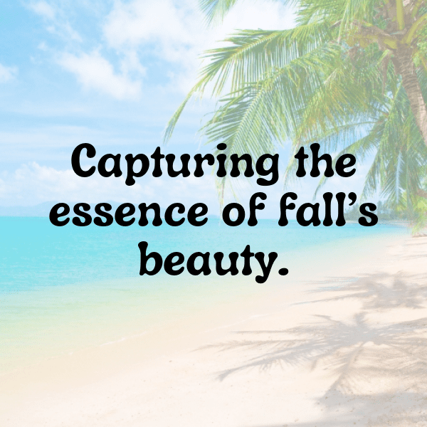 Autumn Leaves Captions Photo for Instagram-RhTn4s