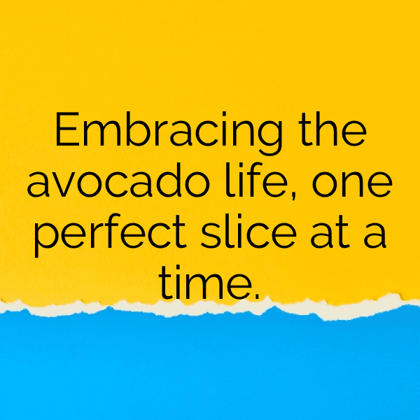 293+ Avocado Captions For Instagram (Short, Trending & Viral) 12 Avocado Captions Image For Instagram-b8piTo