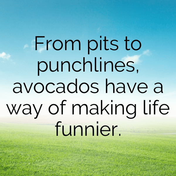 293+ Avocado Captions For Instagram (Short, Trending & Viral) 4 Avocado Captions Image For Instagram-Nbdxyn