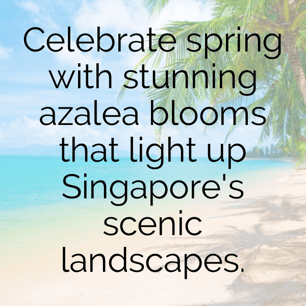 227+ Azalea Captions For Instagram (Trending, Funny & Top) 18 Azalea Captions Image For Instagram-mpvF6t