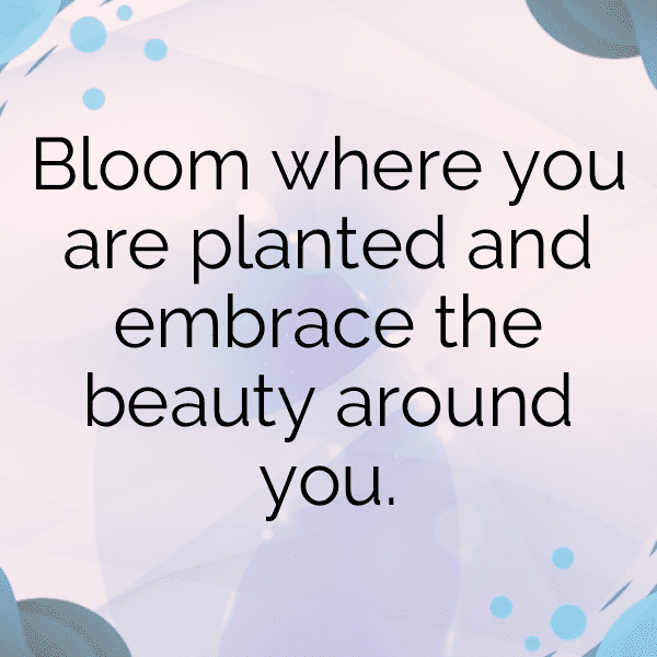 227+ Azalea Captions For Instagram (Trending, Funny & Top) 10 Azalea Captions Image For Instagram-zYJTqT