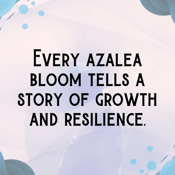 227+ Azalea Captions For Instagram (Trending, Funny & Top) 15 Azalea Captions Photo For Instagram-eG3lt6