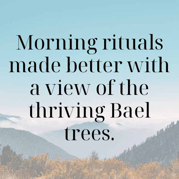 305+ Bael Captions For Instagram (Trending, Funny & Top) 4 Bael Captions Photo For Instagram-21vDDL