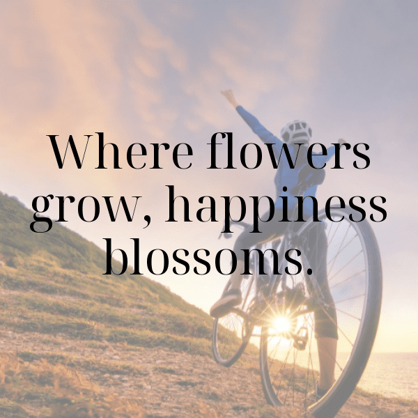 Balloon Flower Captions Image For Instagram-AU1VRT