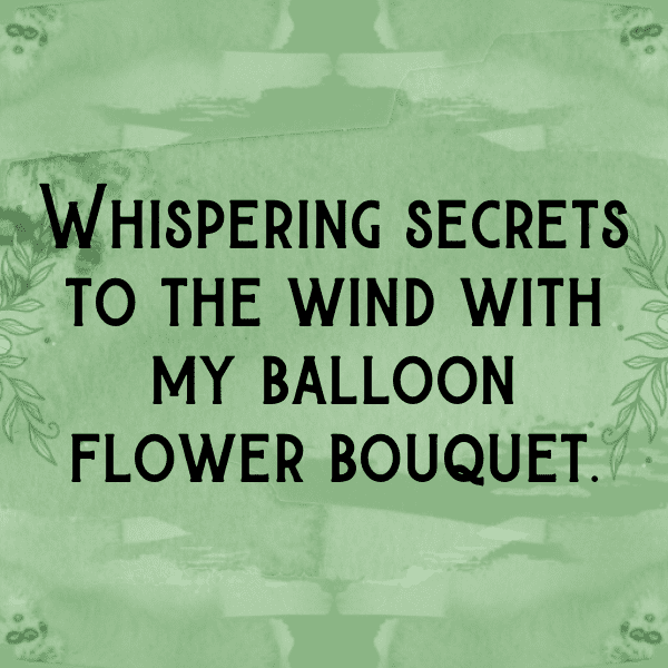 Balloon Flower Captions Image For Instagram-Yzzn7R