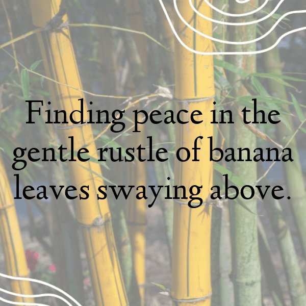 Banana Captions Image For Instagram-4BziZF