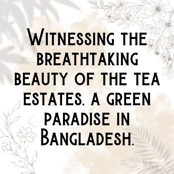 199+ Bangladesh Captions For Instagram In 2025 19 Bangladesh Captions Image For Instagram-EaF51g