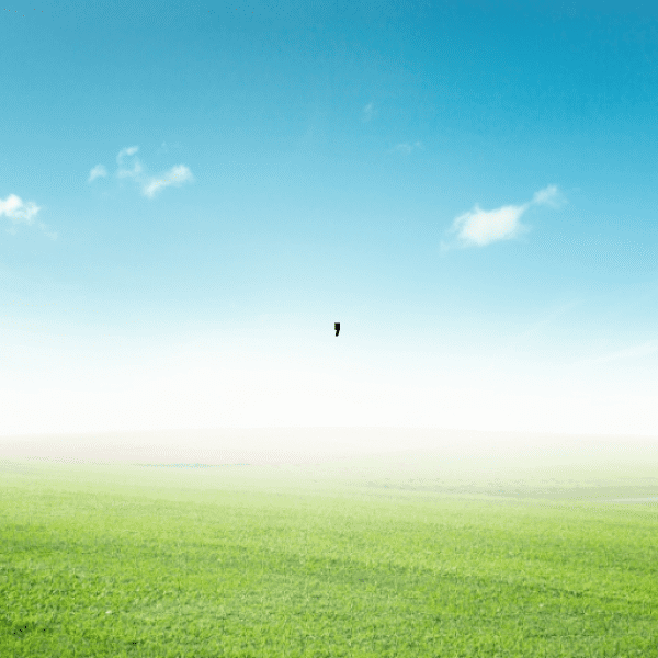 199+ Bangladesh Captions For Instagram In 2025 14 Bangladesh Captions Image For Instagram-hm7kzs