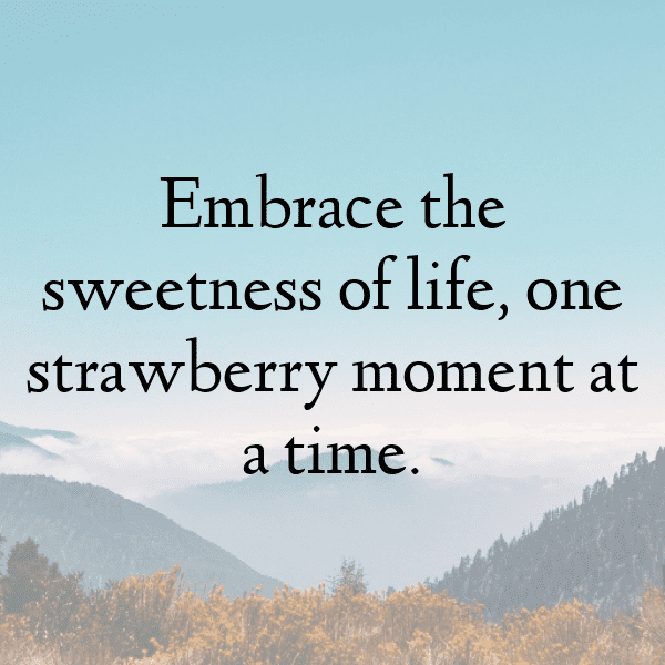 Barberry Captions Photo For Instagram-6L4Pvy