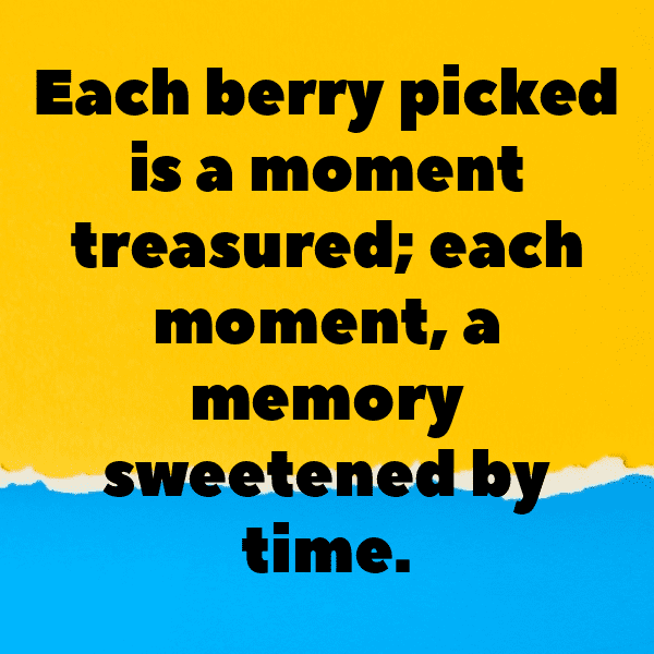 Barberry Captions Photo For Instagram-g8aTDL