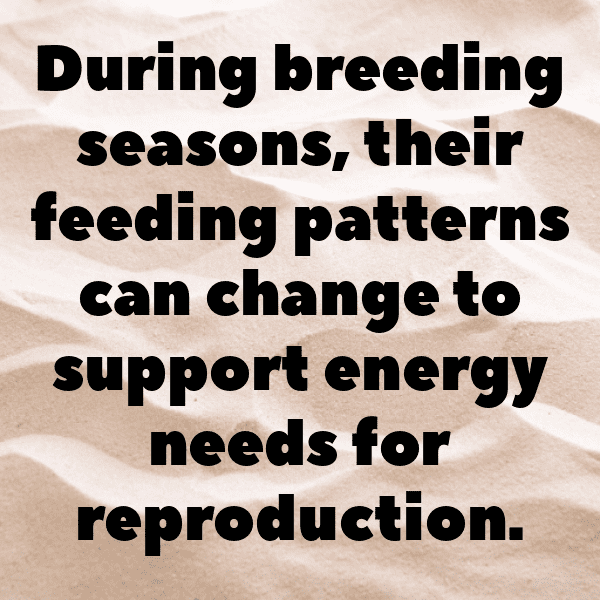 290+ Barracuda Captions For Instagram (Best, Funny & Short) 8 Barracuda Captions Image For Instagram-vTzx01