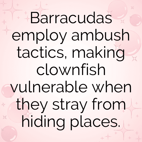 290+ Barracuda Captions For Instagram (Best, Funny & Short) 9 Barracuda Captions Photo For Instagram-NDITNY