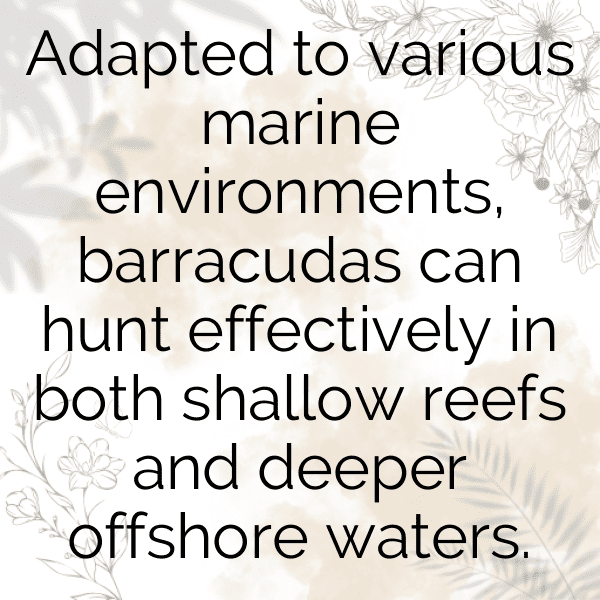 290+ Barracuda Captions For Instagram (Best, Funny & Short) 7 Barracuda Captions Photo For Instagram-SE9vfz