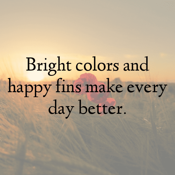 Bass Captions Photo For Instagram-AC5Aok