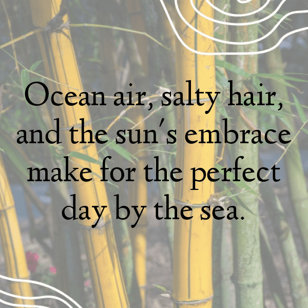 Beach Day Captions Image for Instagram-NlLYJ9