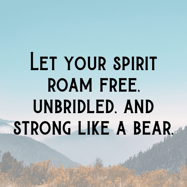 250+ Bear Captions For Instagram In 2025 12 Bear Captions Image For Instagram-cINHKu