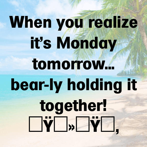 250+ Bear Captions For Instagram In 2025 7 Bear Captions Image For Instagram-iF3rUl