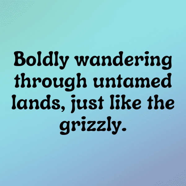 250+ Bear Captions For Instagram In 2025 16 Bear Captions Image For Instagram-oYmApH