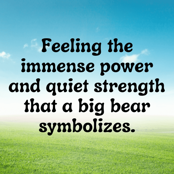 250+ Bear Captions For Instagram In 2025 13 Bear Captions Image For Instagram-u7UTsO