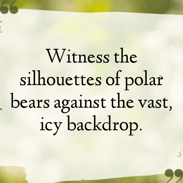 250+ Bear Captions For Instagram In 2025 17 Bear Captions Photo For Instagram-wY7ppN