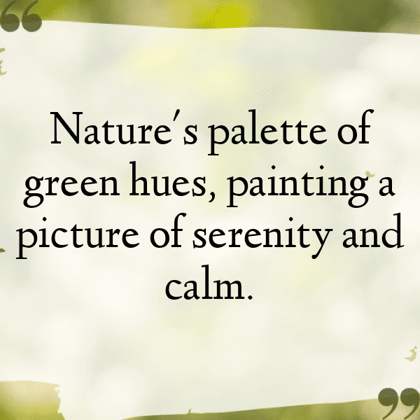 Beet Greens Captions Photo For Instagram-65ZZy1