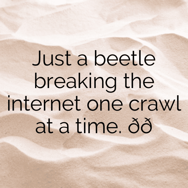 Beetle Captions Image For Instagram-RirHuy