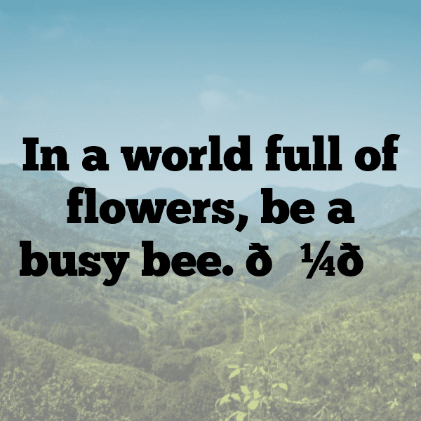 Beetle Captions Photo For Instagram-1DsoyI