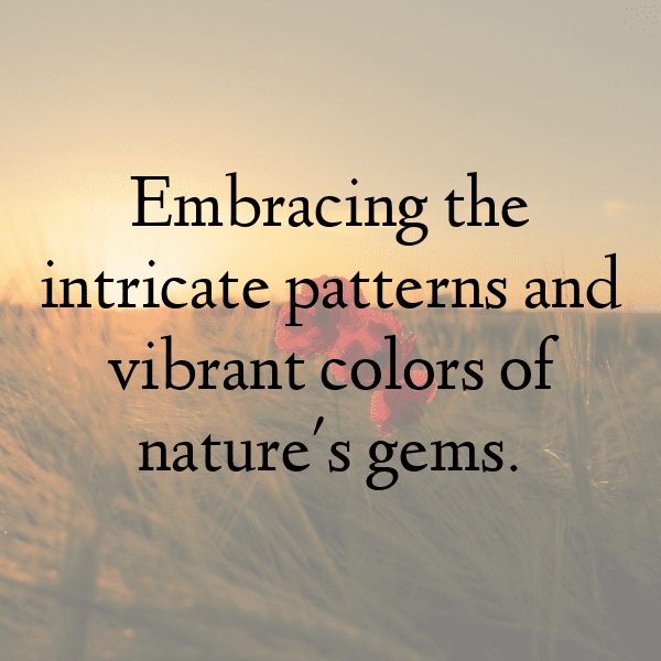 Beetle Captions Photo For Instagram-zf3uD9