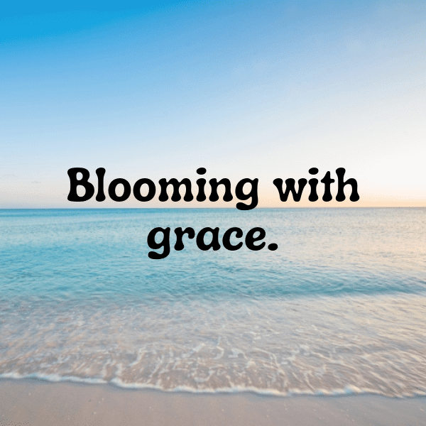 Begonia Captions Image For Instagram-gRevlM