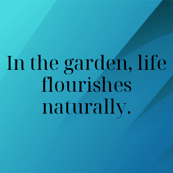 Begonia Captions Image For Instagram-q0znxQ