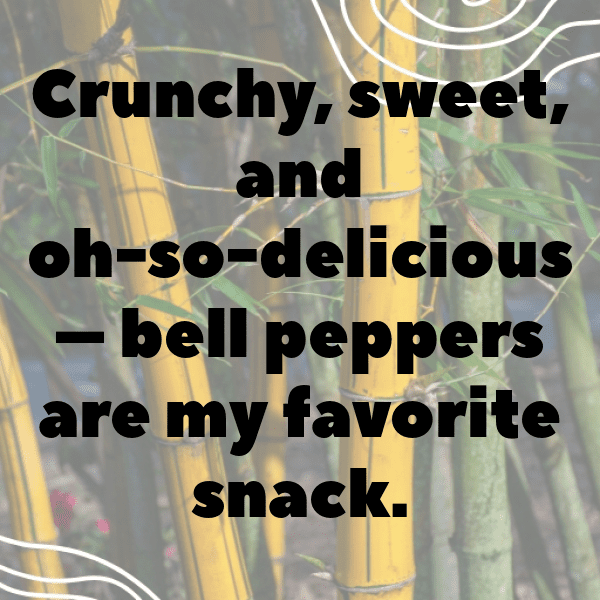 304+ Bell Pepper Captions For Instagram (Trending, Funny & Top) 13 Bell Pepper Captions Photo For Instagram-3ekHL5