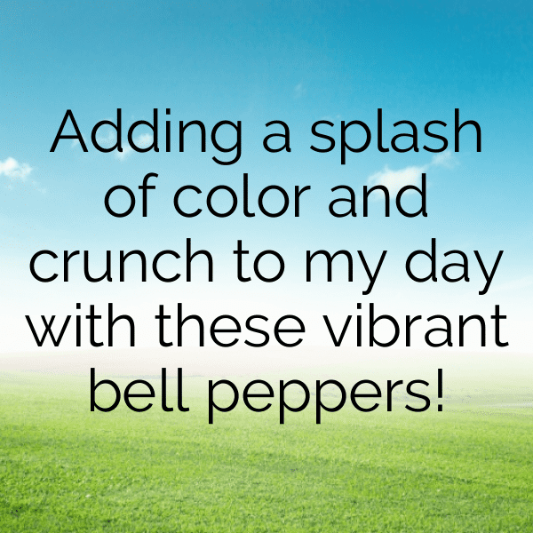 304+ Bell Pepper Captions For Instagram (Trending, Funny & Top) 9 Bell Pepper Captions Photo For Instagram-xEGfZ5