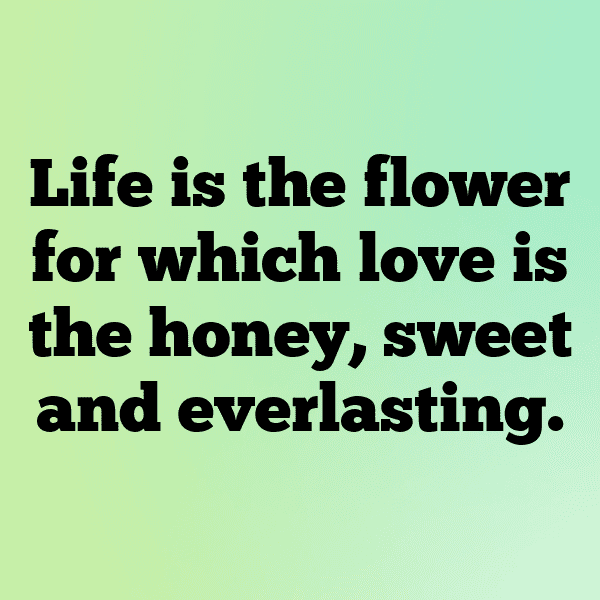 252+ Bellflower Captions For Instagram (Short, Trending & Viral) 7 Bellflower Captions Image For Instagram-GdgXnE