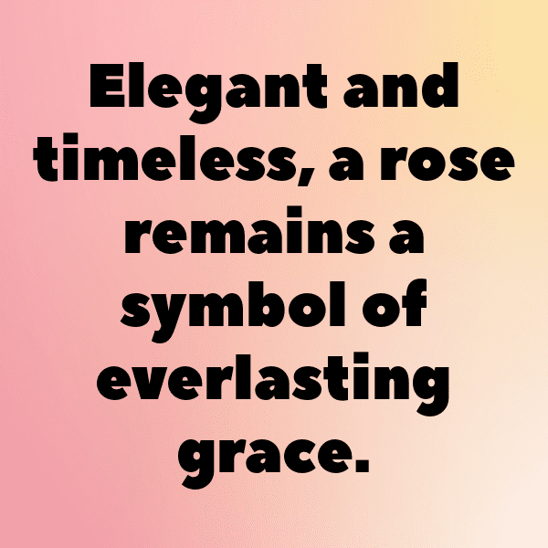 252+ Bellflower Captions For Instagram (Short, Trending & Viral) 8 Bellflower Captions Image For Instagram-hnBktj