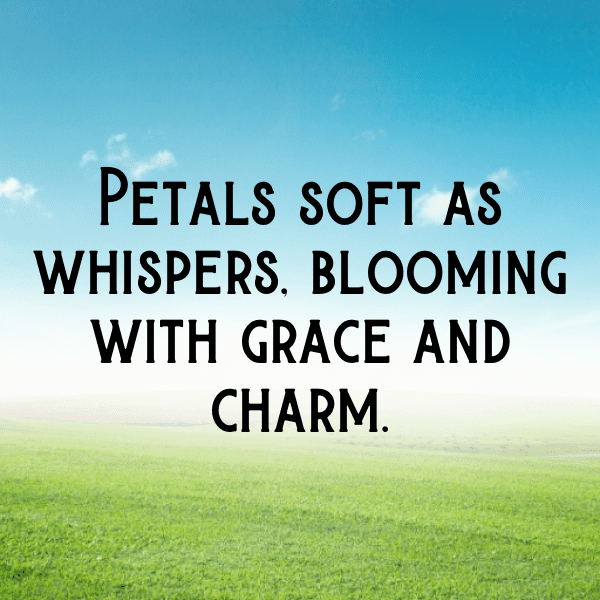 252+ Bellflower Captions For Instagram (Short, Trending & Viral) 10 Bellflower Captions Photo For Instagram-H88ax4