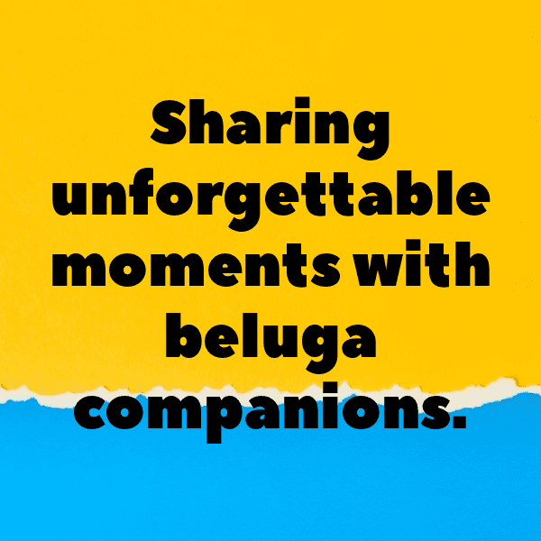 Beluga Captions Image For Instagram-3ExWU4