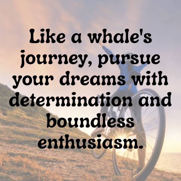 Beluga Captions Photo For Instagram-Pxirkb