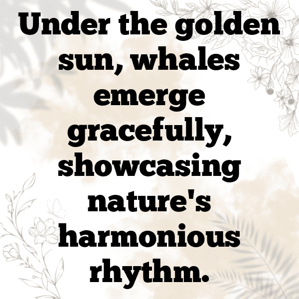 Beluga Captions Photo For Instagram-XNvTpp